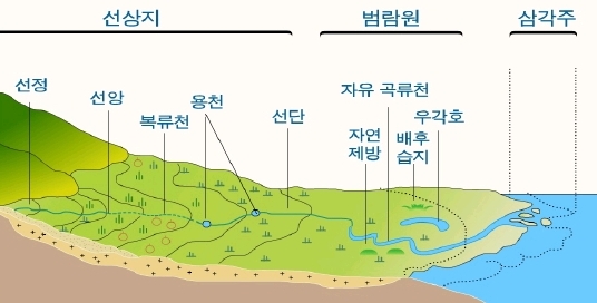 원문 사진