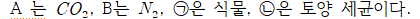 원문 사진
