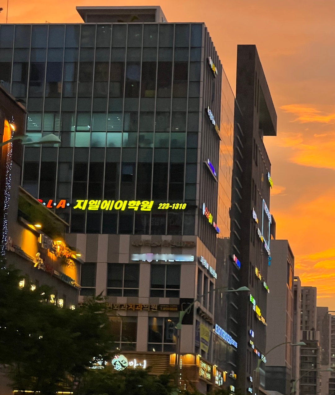 원문 사진