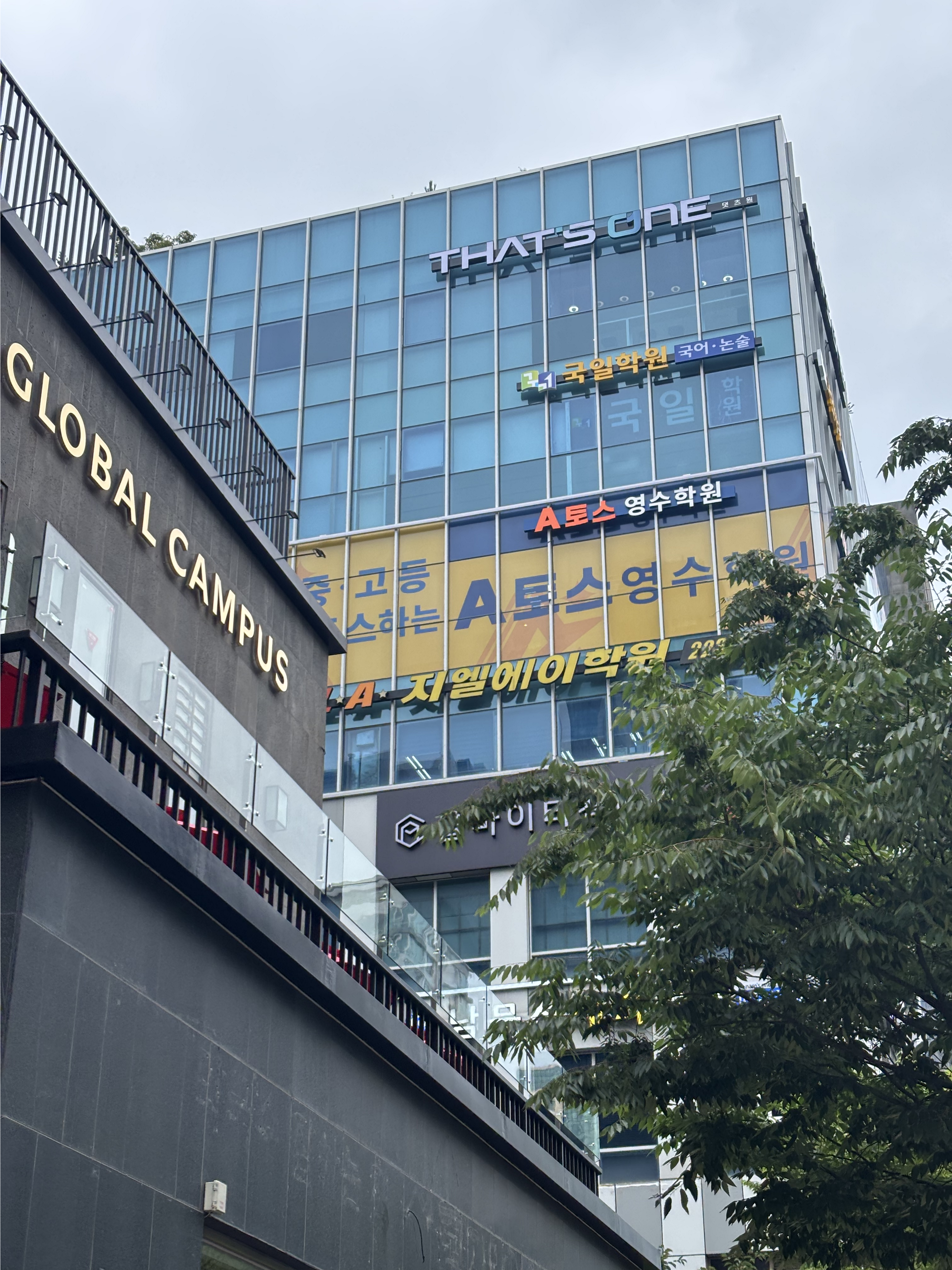 원문 사진